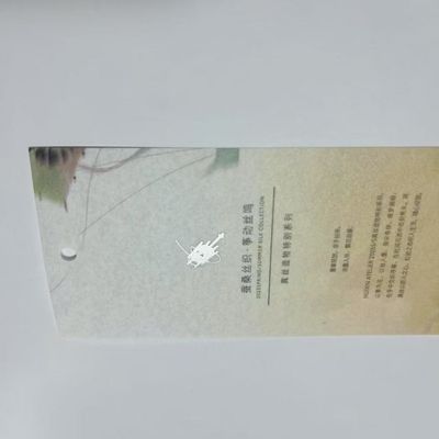 Compostabile T-shirt tag di appesa abbigliamento personalizzato Swing tag ODM