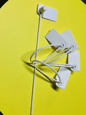 Etichetta di abbigliamento di plastica Etichetta di sicurezza di abbigliamento Anti-furto OEM